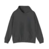 PsiloVibe Church Hoodie - Image 40